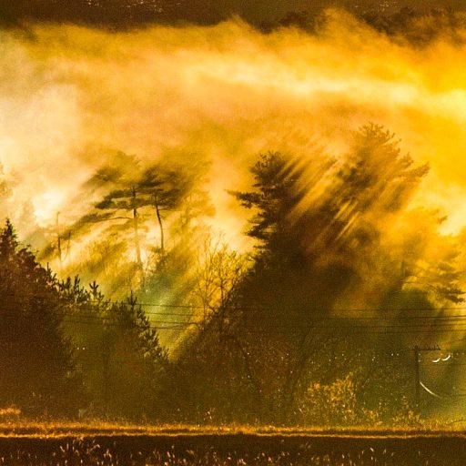 朝霧のスクリーン