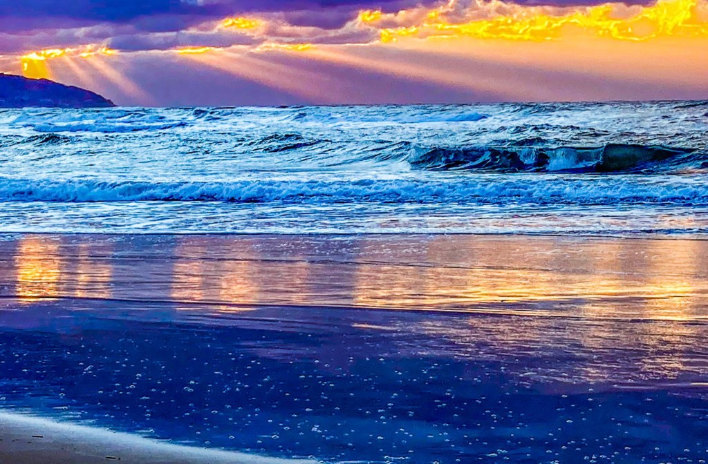 まずは、よろしくお願いしますの自己紹介から